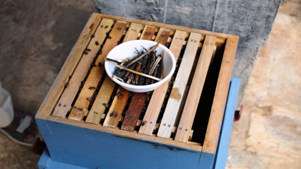 Training For Those Interested In Bee Farming In Kodagu