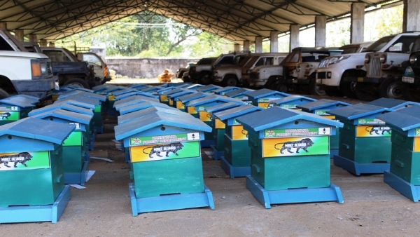 Training For Those Interested In Bee Farming In Kodagu