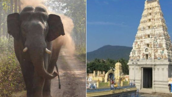 Male Mahadeshwara Hill Good news for tourists Know details