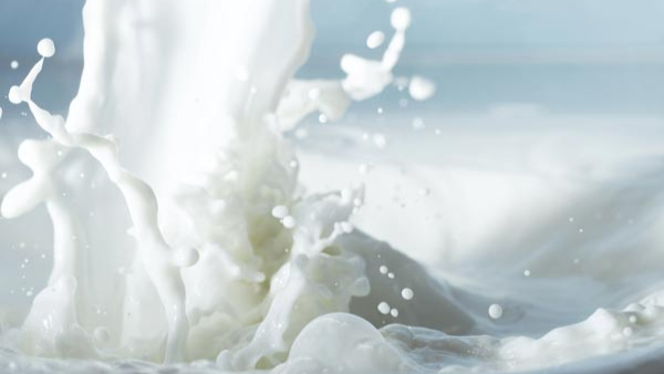 Good News Milk Prices to be Increase by 5 Soon In karnataka