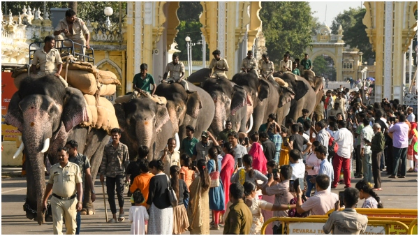 Grand Send-off Given to Elephants Participating in Mysuru dasara Jambu Savari