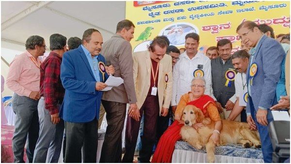 Dogs show in Mysuru Features 480 Dogs from 45 Breeds