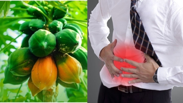 Papaya Fruit Health Benefits of Eating Papaya on an Empty Stomach in kannada Papaya Fruit Health Benefits of Eating Papaya on an Empty Stomach in kannada