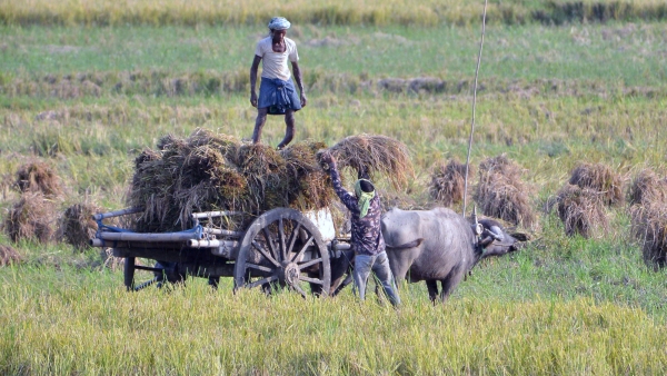 PM Kisan Yojana 18th Installment If this update is not done PM Kisan money will not come