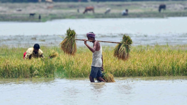 PM Kisan Yojana 18th Installment If this update is not done PM Kisan money will not come