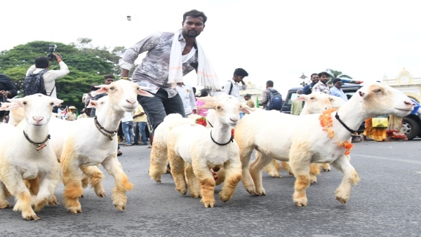 Know Spealty of 2024 Raitha Dasara in Mysuru