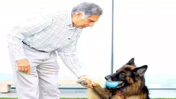Ratan Tata s 10 000 Crore Assets Include a Share for His Dog also