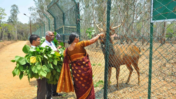 Sakleshpur Couple Has Met The Wild Animal That Was Grown Up In Their House