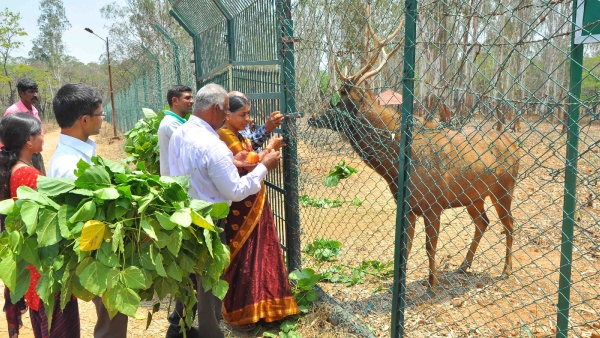 Sakleshpur Couple Has Met The Wild Animal That Was Grown Up In Their House