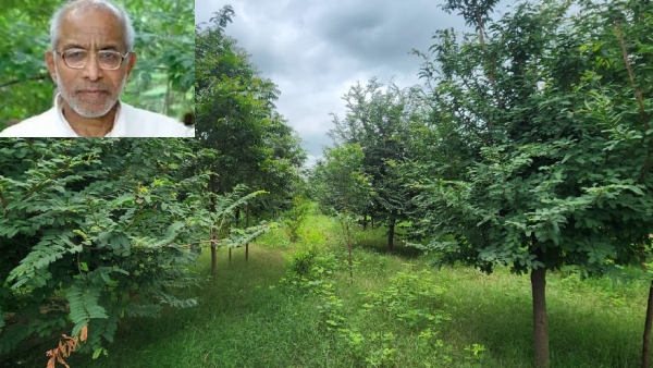 Sri Siddheshwar Swamiji Named for Mamadapur Biodiversity Garden in Vijayapura Says MB Patil