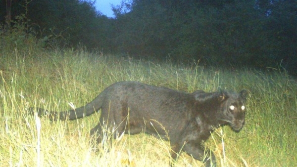 Travel News What Is The Specialty Of Mysuru Nugu Wildlife Sanctuary Travel News What Is The Specialty Of Mysuru Nugu Wildlife Sanctuary