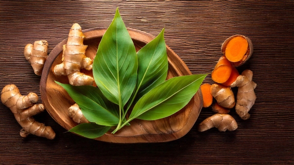 how Turmeric leaves can improve skin health Know its Benefits