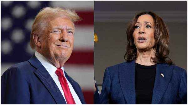 indian american voters support kamala harris indian american voters support kamala harris