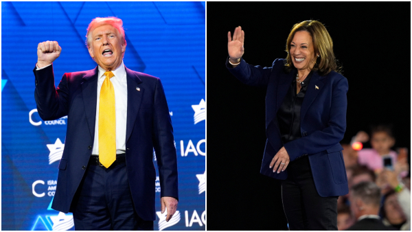 US Election 2024 Key Dates Polling Times and Viewing Options