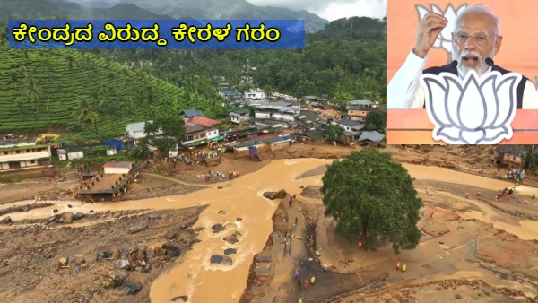 Wayanad Landslide Kerala Govt Lashes out at Center for Providing Grants for Rehabilitation