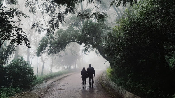 Karnataka Weather Meteorological Department Has Said That Dense Fog Will Cover For The Next One Week