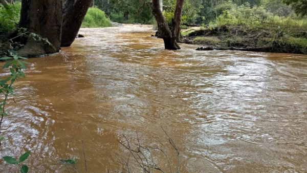 Bandipur Forest Mulehole Stream Provides Water To The Bandipur Wild Animals