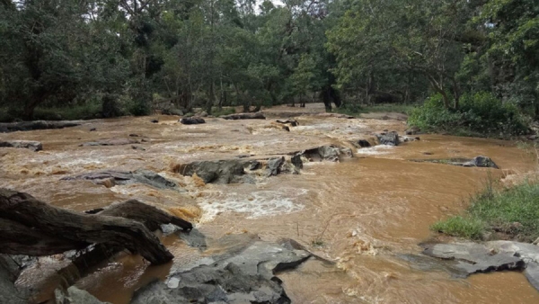 Bandipur Forest Mulehole Stream Provides Water To The Bandipur Wild Animals