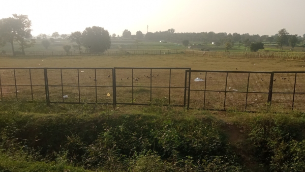 Travel News The Fair Begins In Bandipur Beladakuppe Sri Mahadeshwara Swamy Temple Travel News The Fair Begins In Bandipur Beladakuppe Sri Mahadeshwara Swamy Temple