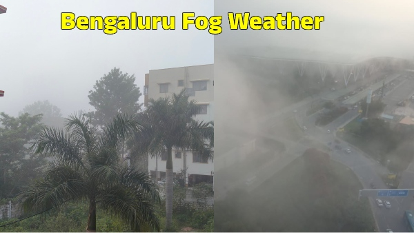 Bengaluru Fog City Witnessed for Mist Weather on Sunday Morning Next 5 Days Forecast here