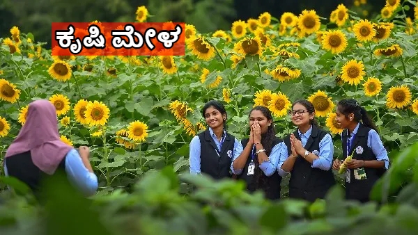 Bengaluru GKVK Krishi Mela 2024 From Tomorrow Nov 14 to 17th New Varieties Release