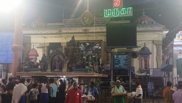 12 People Are sick After Consuming Poisonous Fruit in Chamarajanagar district