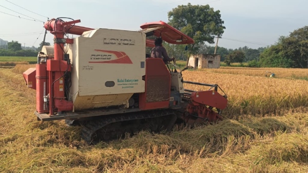 chikkaballapur - shortage of labourers - paddy Harvesting machines are expensive