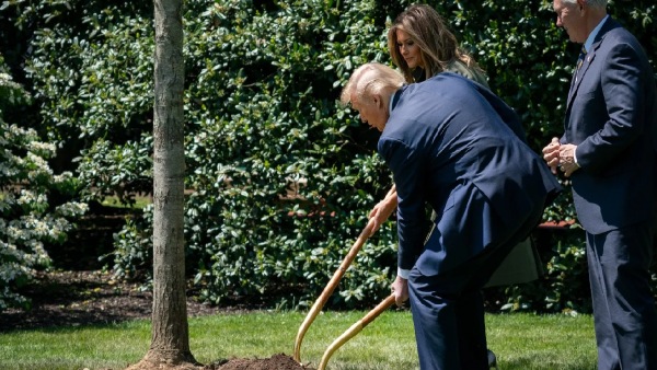 Donald Trump planted plant in India where how is it