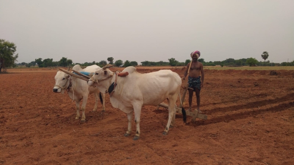 Farmers Given Opportunity To Register For Crop Insurance Scheme Farmers Given Opportunity To Register For Crop Insurance Scheme