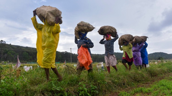 NABARD loan reduction Shock for 35 lakh farmers of Karnataka