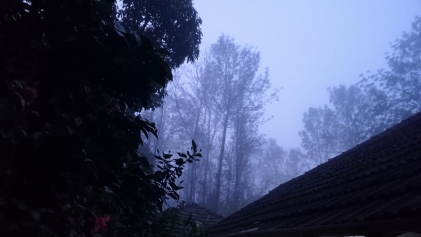 Travel News It Is Foggy At This Time In Madikeri