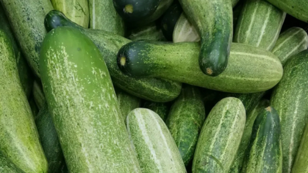 HealthTips What Is The Benefits Of Cucumber