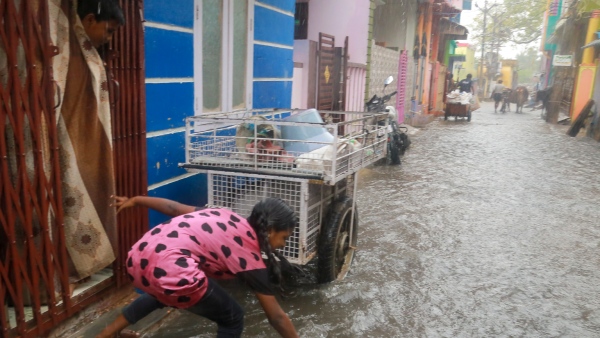 Heavy rainfall forecast in these states for next three days from November 01 IMD