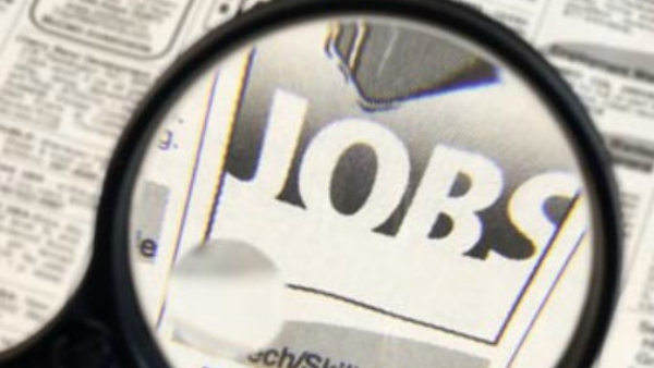 Job Fair On November 22 At Madikeri Candidates Can Attend