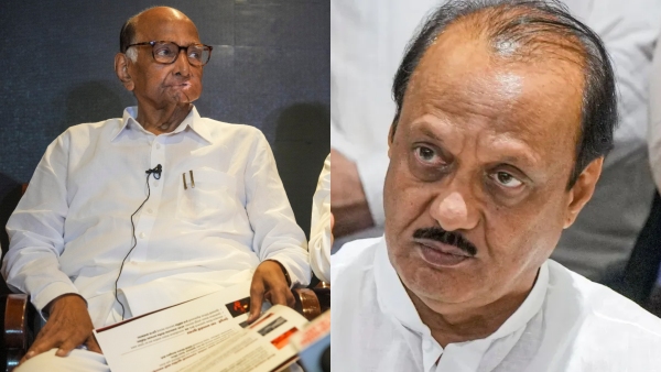 Maharashtra Assembly Election 2024 Voting NCP vs NCP And Sena vs Sena