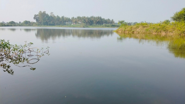 Water Constantly Leaking In Mysore Hoskatte And Mullakere Lakes