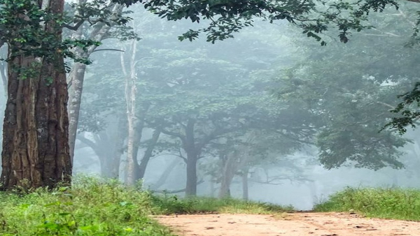 Travel News What Is The Speciality Of Mysuru Kailasa Betta