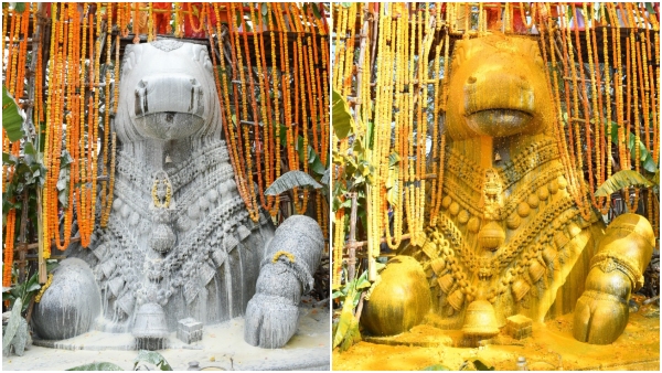 Nandi statue chamundi hills maha abhisheka
