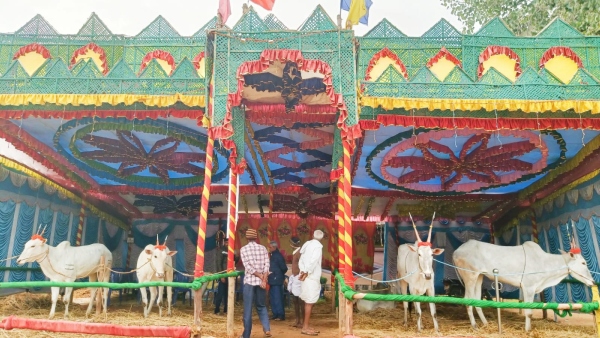 Travel News Here Is The Specialty Of Mysuru Chunchanakatte Jalapathothsava