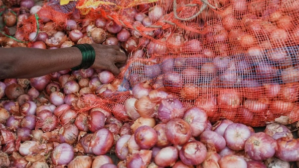 Onion price hike in State Know statistics Onion price hike in State Know statistics