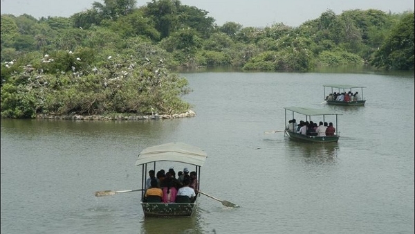 Travel News It Is The Right Time To Visit Ranganathittu Bird Sanctuary