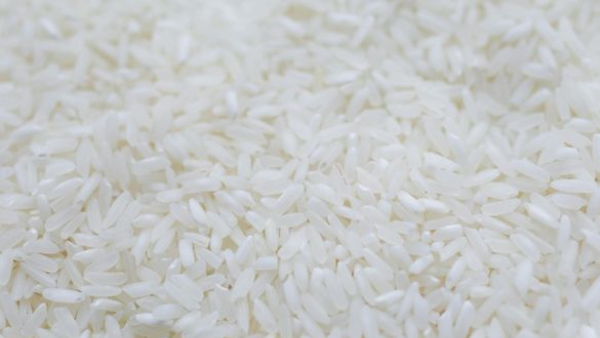 Poor food supply to schools in Chamarajanagar K Venkatesh outrage against officials Poor food supply to schools in Chamarajanagar K Venkatesh outrage against officials