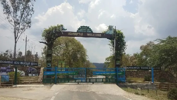 Save Bandipur Tweet Goes huge Viral