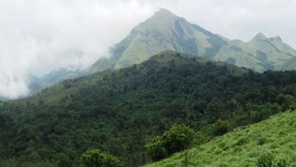 Discover The Beauty Of Tadiandamol Madikeri Learn About Trekking Routes Safety Measures