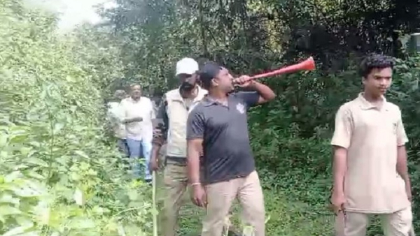 Forest Department Intensive Pperation For finding Tiger In Kodagu District