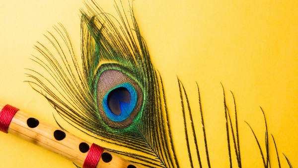 Vastu Shastra Which bird s feather is auspicious if it is in the house