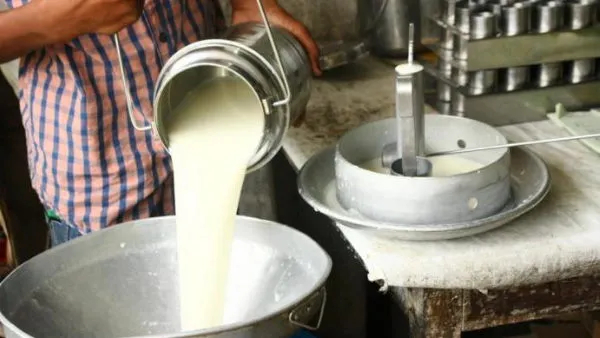 Karnataka BJP Chief BY Vijayendra Slams Congress Government Over Milk Subsidies