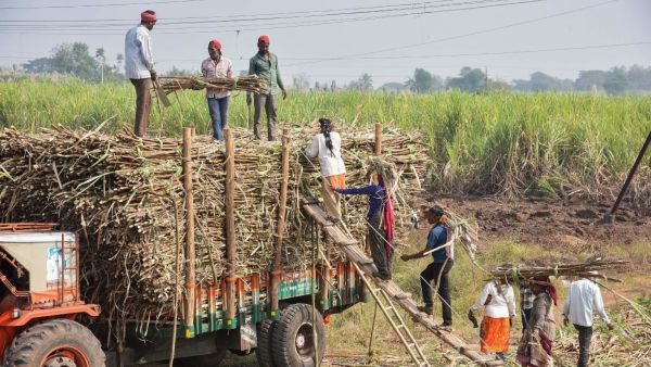 RBI Announces Increase Of Collateral Free Agricultural Loan Limit