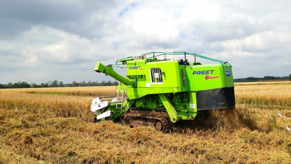 Chamarajanagar Faces Paddy Harvesting Challenges Due To Machine Shortages