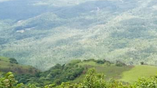 Fengal Cyclone Advisory Note For Chikkamagaluru Tourists
